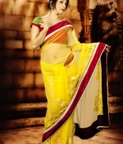 actress-parinidhi-hot-stills51380288075