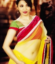 actress-parinidhi-hot-stills61380288075