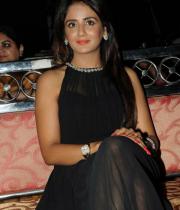 parul-yadav-at-potugadu-audio-launch-1