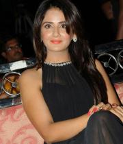 parul-yadav-at-potugadu-audio-launch-16