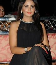 parul-yadav-at-potugadu-audio-launch-8