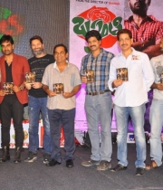 pawan-kalyan-launch-basanti-movie-audio-launch-photos-98