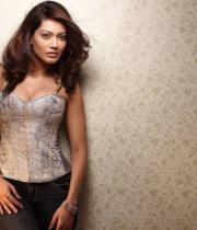 payal-rohatgi-latest-hot-photos-02