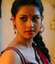 pooja-hot-saree-photos-10