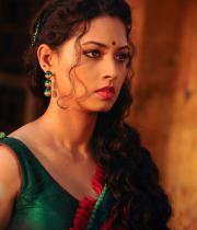 pooja-hot-saree-photos-9