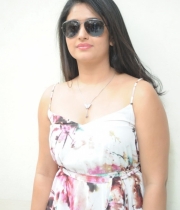 poonam-bajwa-hot-stills-41