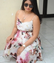 poonam-bajwa-hot-stills-48