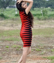 poonam-kaur-stills-111378988687