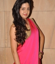 poonam-kaur-saree-stills-at-amb-audio-launch-14