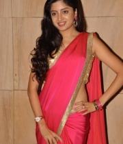 poonam-kaur-saree-stills-at-amb-audio-launch-7