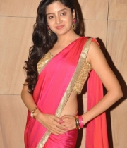 Poonam Kaur Hot Saree Stills At Aadu Magaadra Bujji Audio Release