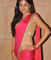 Poonam Kaur Hot Saree Stills At Aadu Magaadra Bujji Audio Release