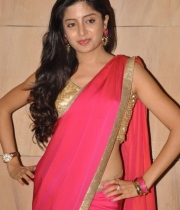 Poonam Kaur Hot Saree Stills At Aadu Magaadra Bujji Audio Release