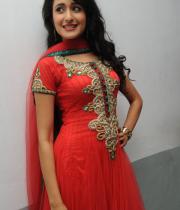 pragya-photos-at-dega-audio-launch-8