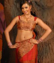 prajna-hot-navel-show-images-03