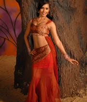 prajna-hot-navel-show-images-04