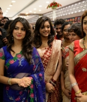 pranitha-photos-at-kalamandir-new-showroom-launch-23 pranitha-photos-at-kalamandir-new-showroom-launch-23