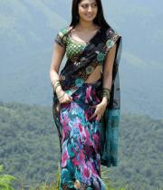 pranitha-latest-hot-photos-in-saree-03