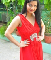 preethi-das-photo-stills-01