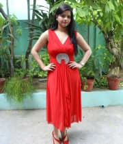 preethi-das-photo-stills-03