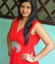 preethi-das-photo-stills-09