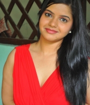 preethi-das-photo-stills-10