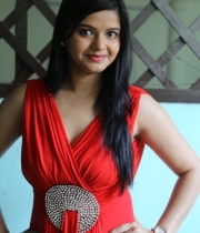 preethi-das-photo-stills-11