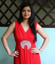 preethi-das-photo-stills-13