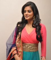 priyamani-at-chandi-movie-platinum-disc-1