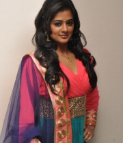 priyamani-at-chandi-movie-platinum-disc-3