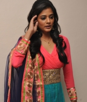 priyamani-at-chandi-movie-platinum-disc-4