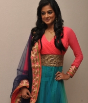 priyamani-at-chandi-movie-platinum-disc-5