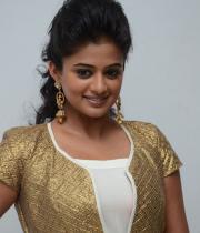 priyamani-15