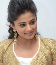priyamani-9