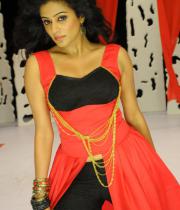 priyamani-hot-stills-in-chandi-14