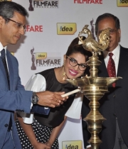 priyanka-chopra-photos-at-59th-idea-filmfare-awards-2013-26