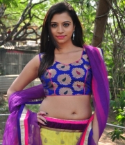 priyanka-new-hot-stills-107