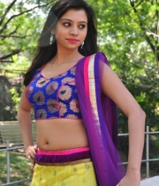 priyanka-new-hot-stills-91