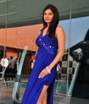 priyanka-shah-hot-photo-stills-at-kingfisher-fashion-week-event-16