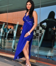 priyanka-shah-hot-photo-stills-at-kingfisher-fashion-week-event-18