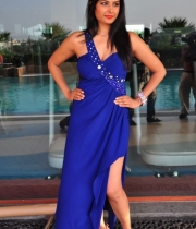 priyanka-shah-hot-photo-stills-at-kingfisher-fashion-week-event-19