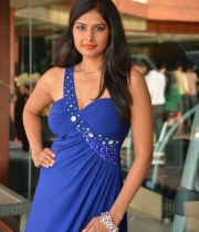 priyanka-shah-hot-photo-stills-at-kingfisher-fashion-week-event-32