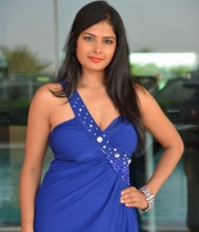 priyanka-shah-hot-photo-stills-at-kingfisher-fashion-week-event-42