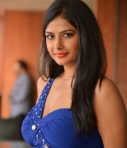 priyanka-shah-hot-photo-stills-at-kingfisher-fashion-week-event-71