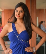 priyanka-shah-hot-photo-stills-at-kingfisher-fashion-week-event-83