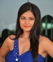 priyanka-shah-hot-photo-stills-at-kingfisher-fashion-week-event-90