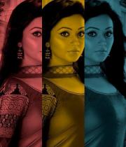 ragini-nandwani-hot-photos-stills-60