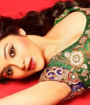 ragini-nandwani-hot-photos-stills-68