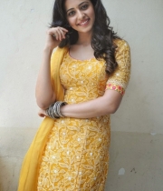 rakul-preet-singh-photos-at-pandaga-chesuko-movie-launch-15