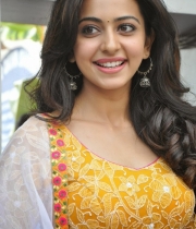 rakul-preet-singh-photos-at-pandaga-chesuko-movie-launch-24